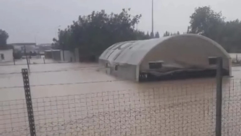 Kartepe’de tavuk çadırını su bastı!