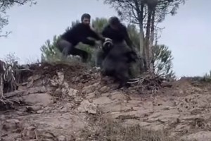 Körfez’de tepede mahsur kalan keçi kurtarıldı