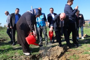 Millet Bahçesi’nde 100 zeytin fidanı dikildi