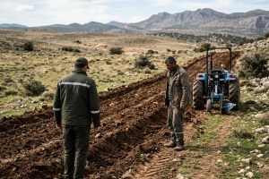 Dağ ceylanı sahasını sürene 699 bin TL ceza!